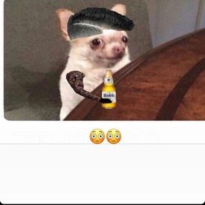 Meet your Posher, Yahaira